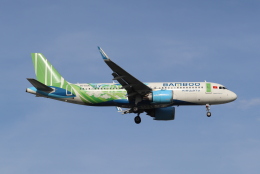 オーストラリア空軍 Airbus A330-200 A39-003 名古屋飛行場 航空フォト