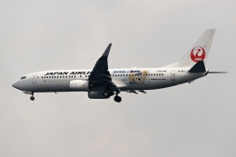 JALハッピージャーニーエクスプレス 1号機」特別塗装機 日本航空 (737