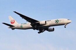 JALエコジェット・ネイチャー」特別塗装機 日本航空 (777-200 | JA8984