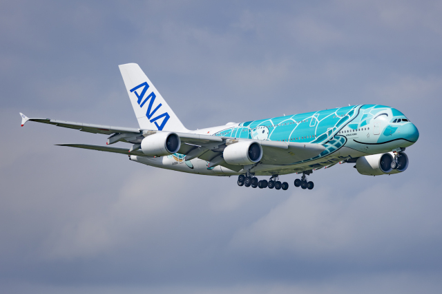 新型フライングホヌ／グリーン カイ君 約30cm 全日空商事 A380 ANA