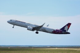ハワイアン航空 機材一覧 エアバスA321neo | FlyTeam(フライチーム)