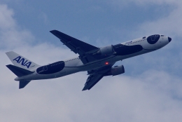 FLY!パンダ」特別塗装機 全日空 (767-300 | JA606A) ガイド| FlyTeam