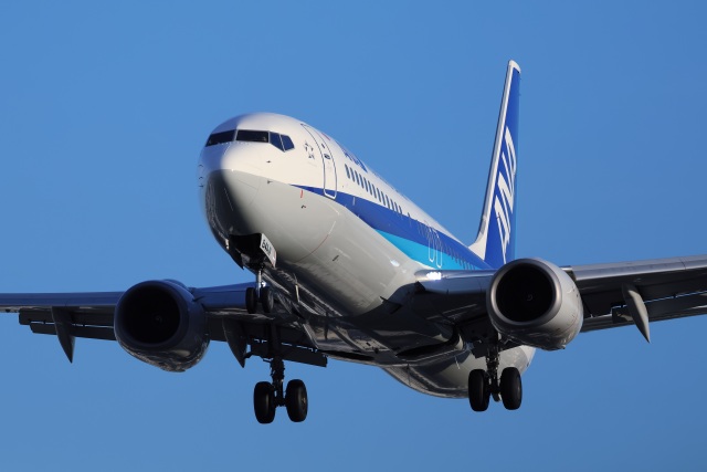 ANA (全日空) 機材一覧 運用中 ボーイング737-800 | FlyTeam(フライチーム)