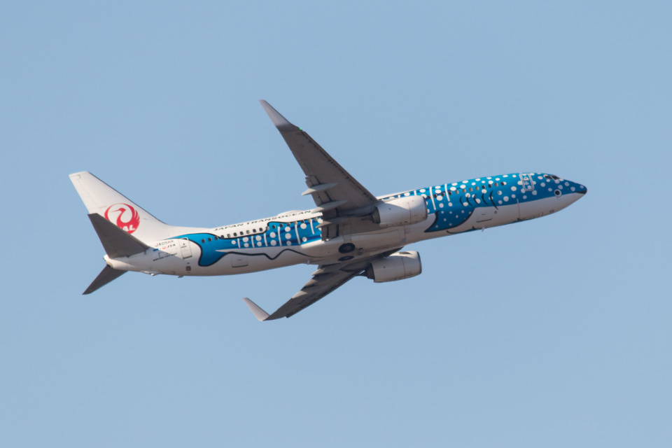 日本トランスオーシャン航空 Boeing 737-800 JA05RK 関西国際空港 航空