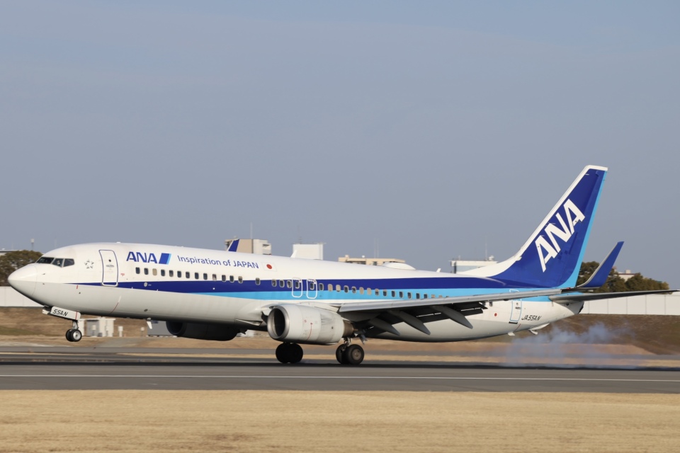 全日空 Boeing 737-800 JA55AN 伊丹空港 航空フォト | by Fly Yokotaya