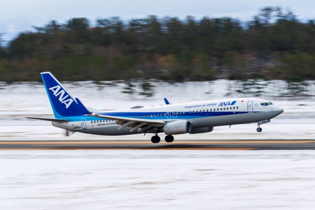 機体記号 : JA88AN (ANA) 航空機体ガイド | FlyTeam(フライチーム)