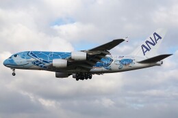 フライングホヌ ラニ/1号機」特別塗装機 全日空 (A380 | JA381A