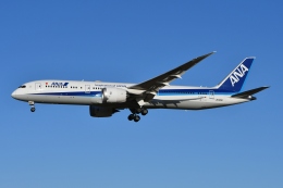 ANA、日本初のA320neo「JA211A」を受領 12月17日に日本到着 | FlyTeam