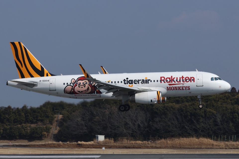 タイガーエア台湾 Airbus A320 B-50018 成田空港 航空フォト | by