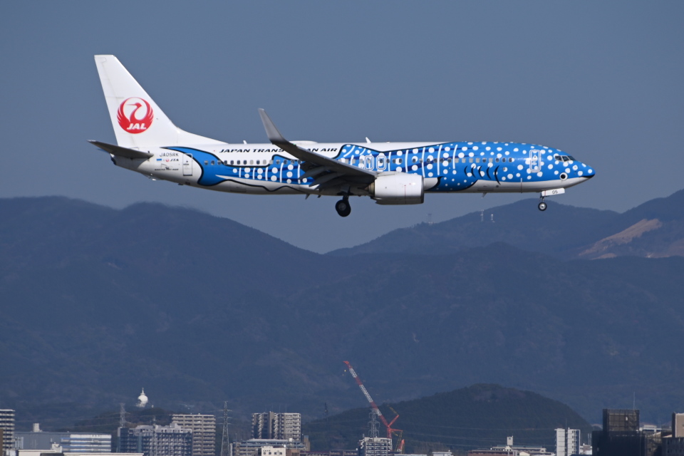日本トランスオーシャン航空 Boeing 737-800 JA05RK 福岡空港 航空