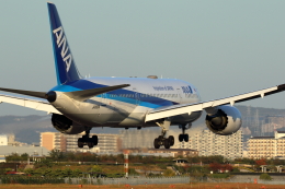 機体記号 : JA810A (ANA) 航空フォト(飛行機 写真・画像) | FlyTeam
