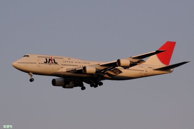 JAL Dream Skyward 1/200 松井秀喜MLB未展示 特別塗装 JAL Dream