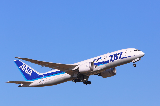 成田市制施行70周年記念」特別塗装機 全日空 (787-8 ドリームライナー