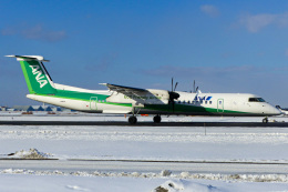 エコボン」特別塗装機 ANAウイングス (DHC-8-400 | JA857A) ガイド