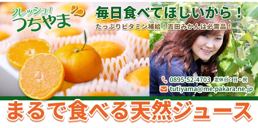 株式会社フレッシュつちやま / ファミリーセット（1月中旬～5月）