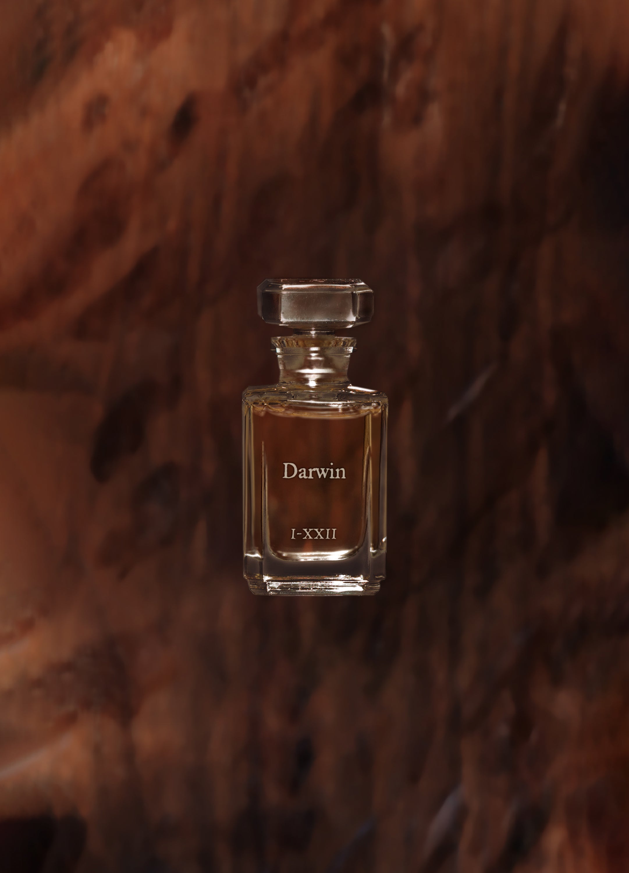 FUEGUIA 1833 | Darwin｜ダーウィン – FUEGUIA 1833 Japan Online