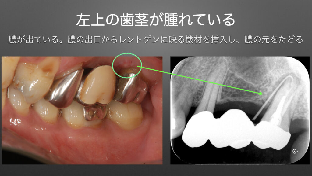 藤尾歯科・矯正歯科医院