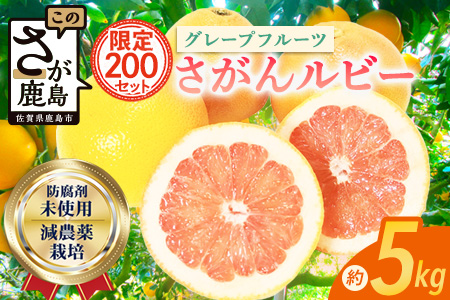 数量限定【先行予約】日本初！幻の国産グレープフルーツ！【さがん