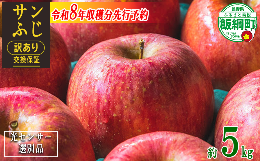 感謝りんご / 光センサー選別品 】 りんご サンふじ 訳あり 5kg （ 12