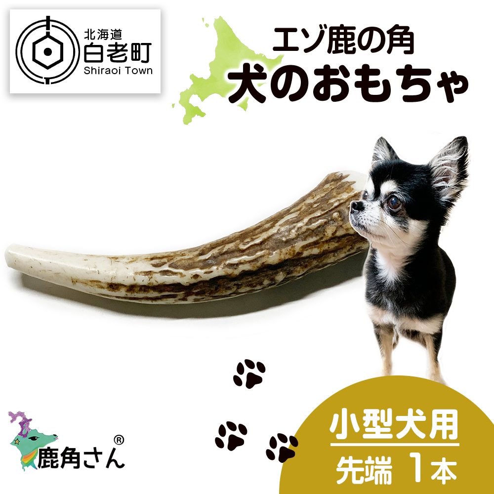 鹿の角 エゾシカ 犬のおもちゃ 『鹿角さん』 小型犬用 先端 1本