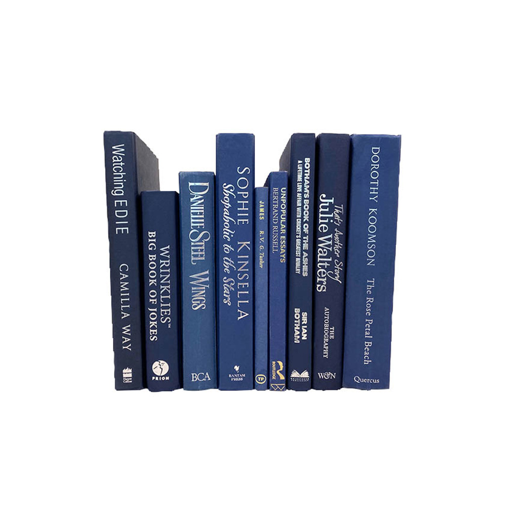 ユーズドブック 25cm (アンティーク 洋書 本 ディスプレイ ダルトン