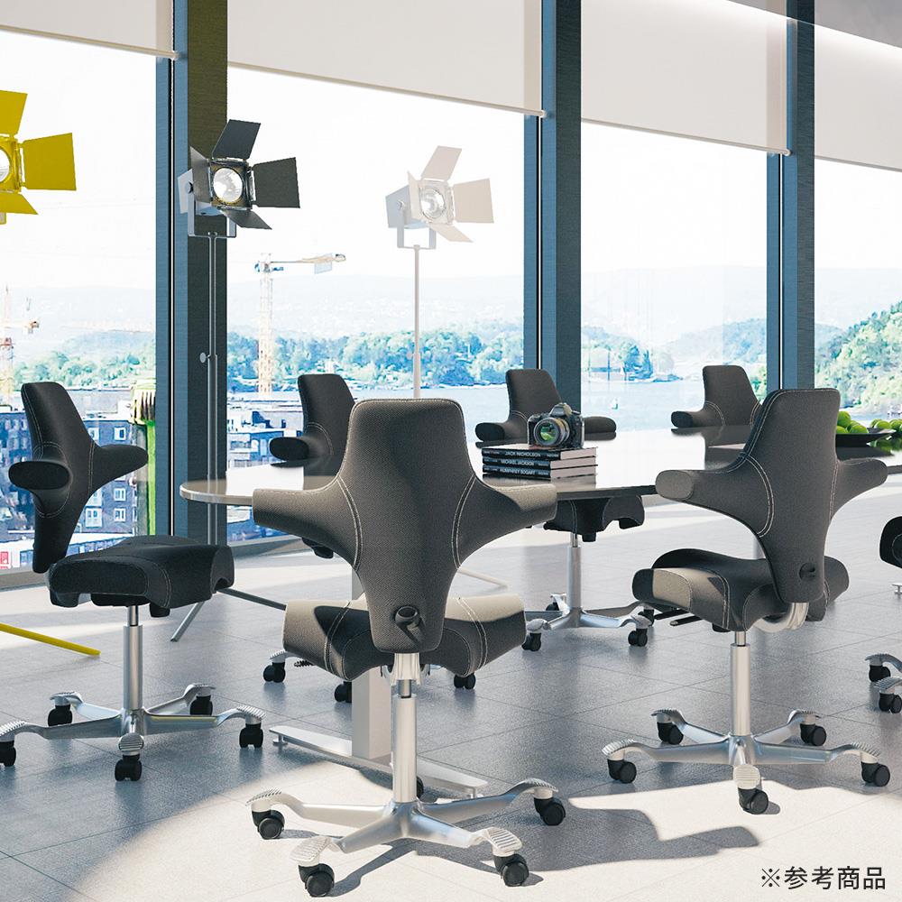 HAG Capisco/ホーグ カピスコ チェア クロス張りCU (座面高41.7cm