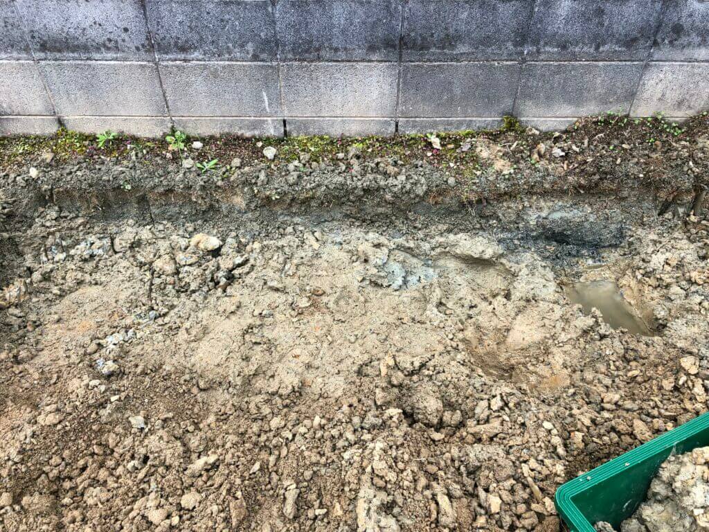 20210117tuukisintousuimyaku01-