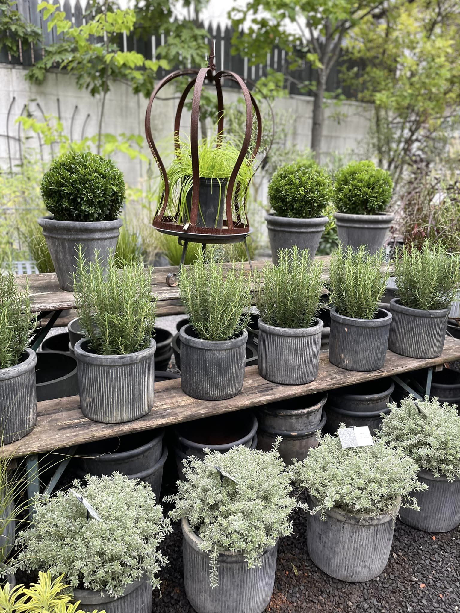 GARDENSの北欧フェア - GARDENS（ガーデンズ） | 香川県高松市の造園