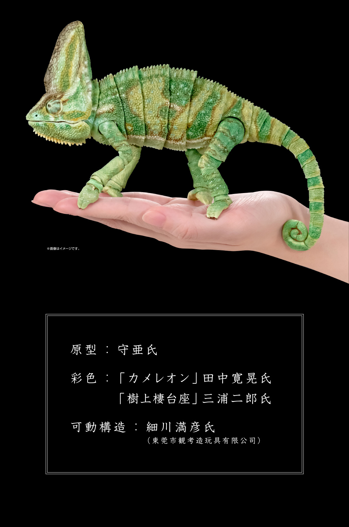 いきもの大図鑑プレミアム エボシカメレオン｜いきもの大図鑑