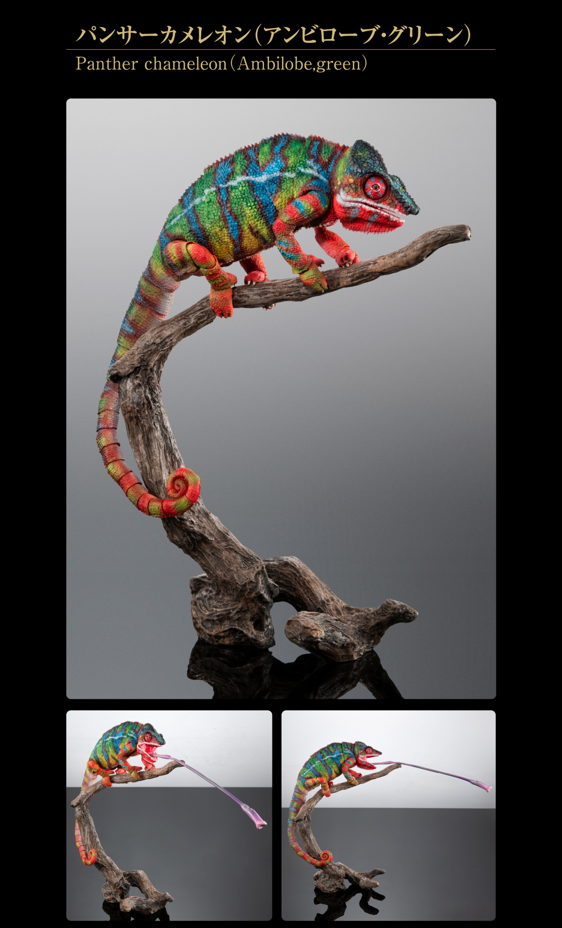 いきもの大図鑑プレミアム パンサーカメレオン｜いきもの大図鑑