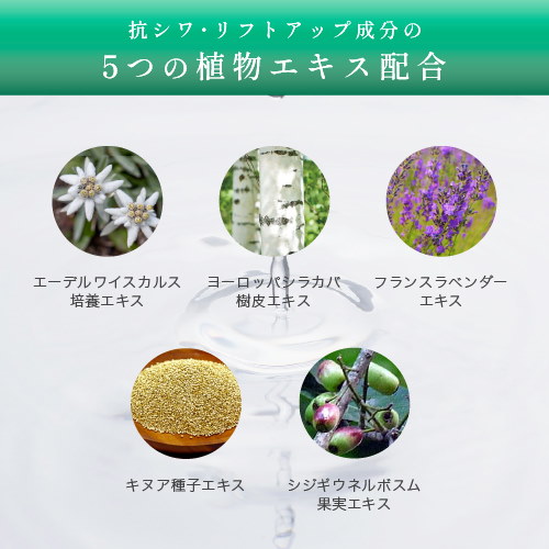 Qoo10] KATAN 【3月中旬お届け】ダーマヒットセラム10