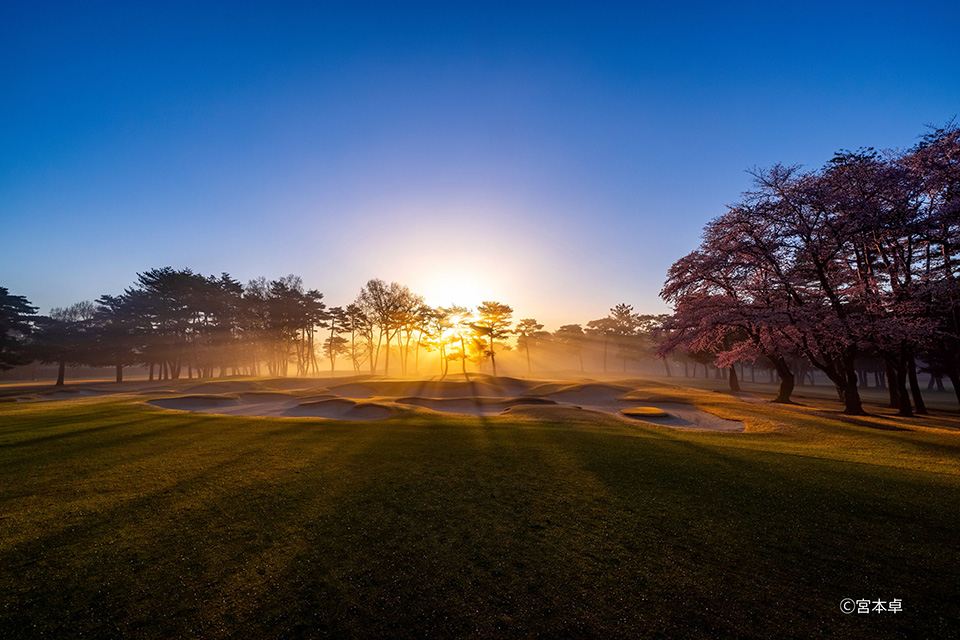 ゴルフ写真家が美しい光と一瞬を描く 宮本卓写真展「HIKARI has come