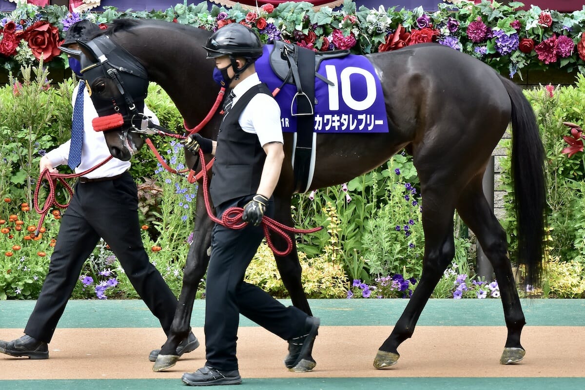 JRA 「973万馬券」と18番人気馬の激走を繋げる名牝の存在…カワキタレ