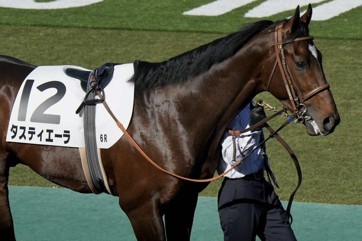 種馬として成功してほしい」キタサンブラック、ドゥラメンテに続け