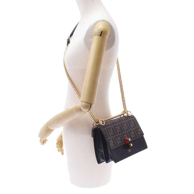 Fendi Mini Canai Zukka pattern Brown/Black Gold Bracket Ladies