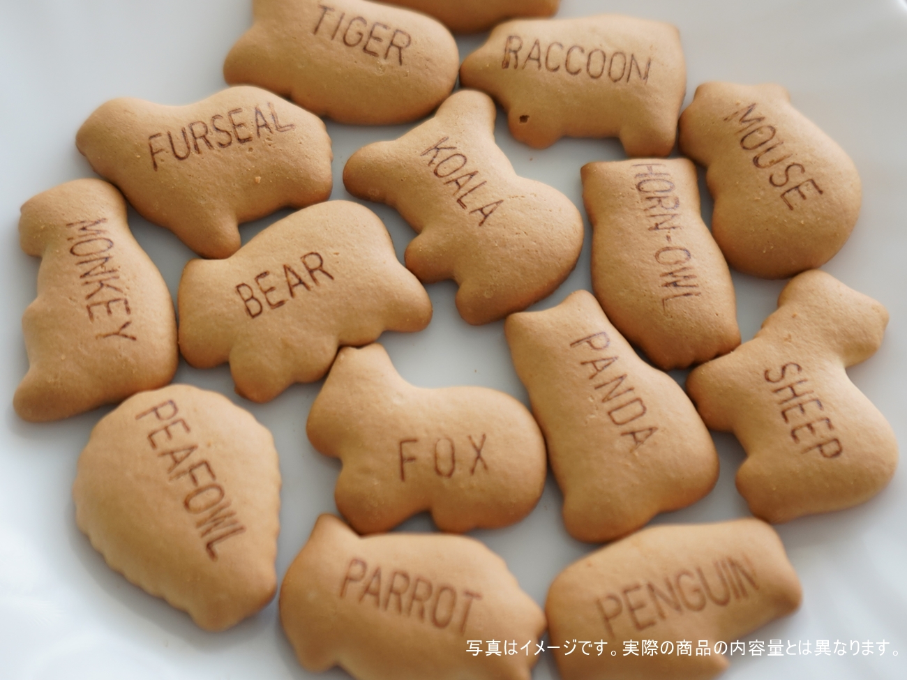 厚焼きたべっ子どうぶつ 55g | お菓子に夢を！株式会社ギンビス