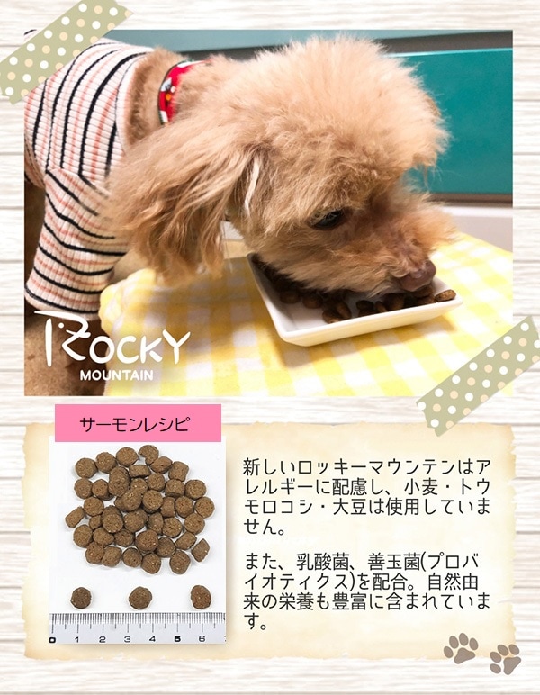 トムキャット ロッキーマウンテン サーモンレシピ ドッグフード 3kg×1