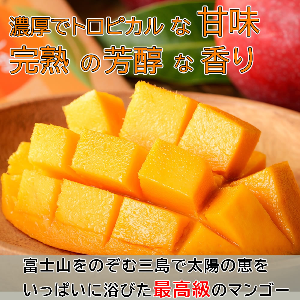 鈴木農園 l 【公式】 うまちょく便 | 静岡・山梨名物・特産品を通販で