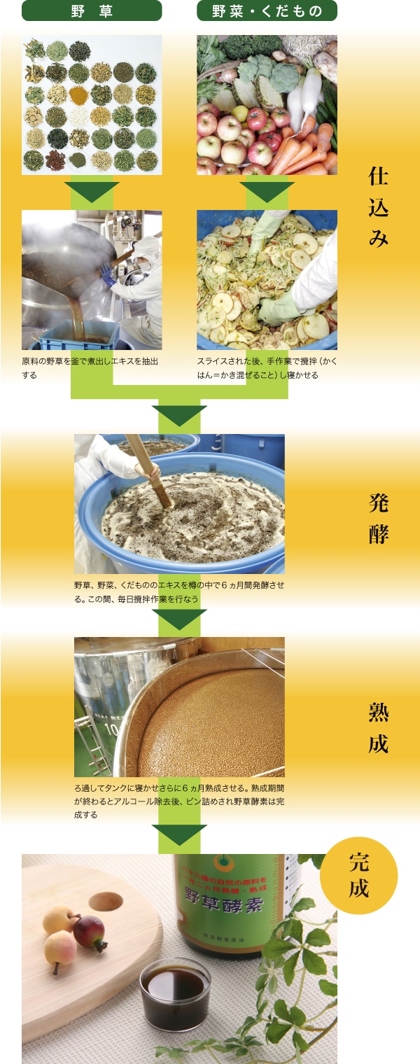 野草酵素 (720ml)【とくとくコース・10%OFF】 - 有限会社野草酵素