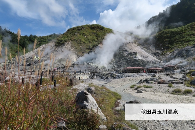 ラドン岩盤浴マット