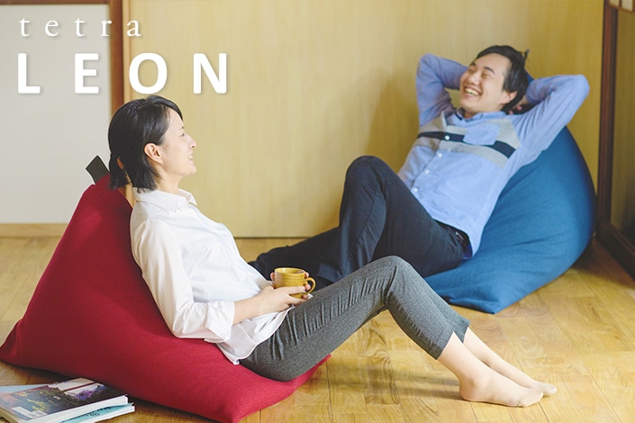 tetra LEON（レオン）ビーズクッション テトラ【ビッグサイズ
