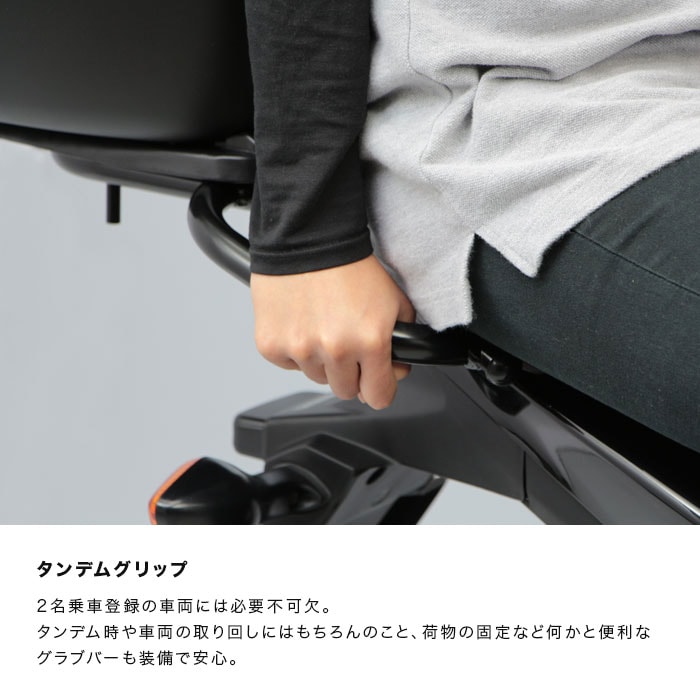 ebony エボニーゼロ 磁気治療器 ebony エボニーゼロ 磁気治療器