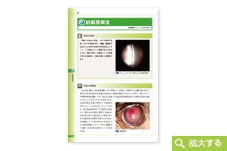 プライマリ・ケアのための診療指針 - 犬と猫の内科学 -│獣医学書籍