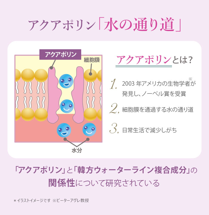 サイムダン プレミアム ファーストクラス 美容液化粧水 リッチ 130ml