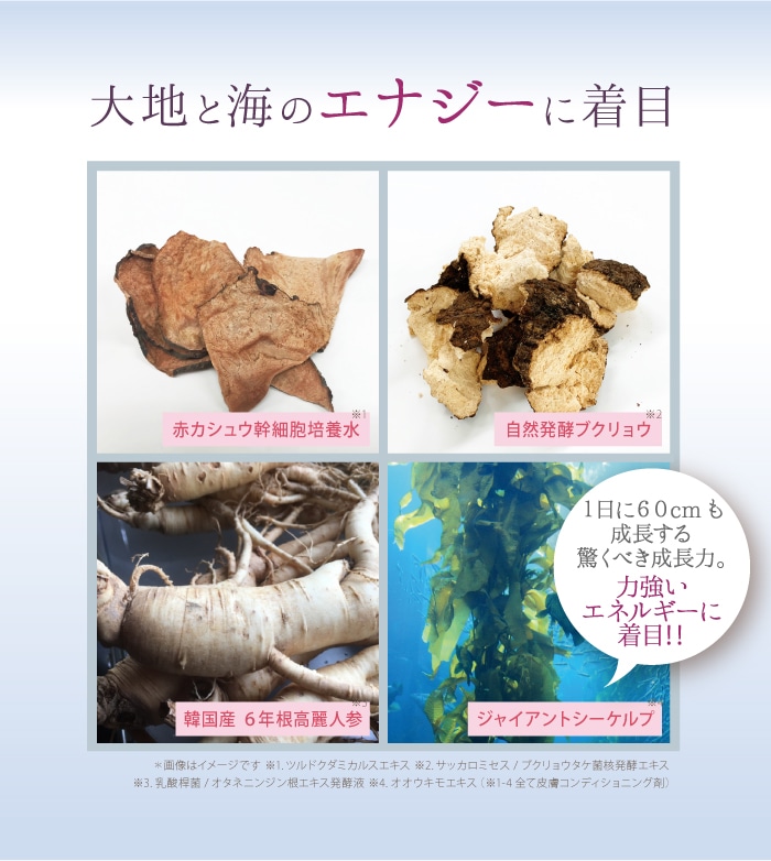 サイムダン プレミアム ファーストクラス パーフェクト Rich クリーム