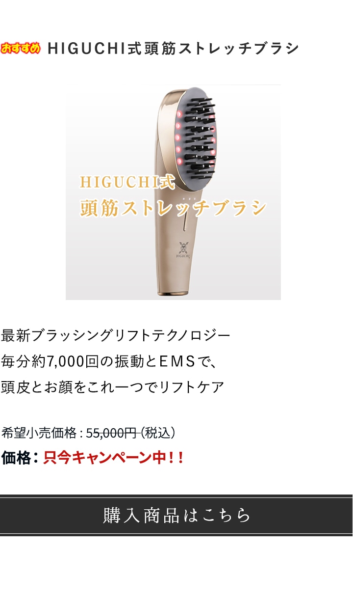 美品】樋口式 頭筋ストレッチブラシ ホームケア エステ 美顔器 家庭用