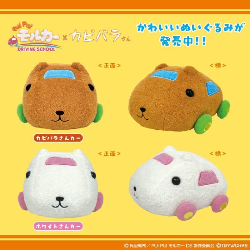 カピバラさん｜グッズ｜カピバラさんキュルッとマーケット｜【公式通販