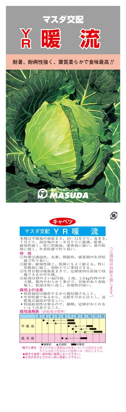 春系キャベツの種なら1925年創業アブラナ科専門 増田採種場