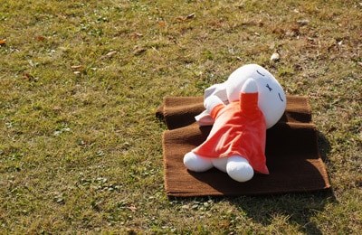 miffy (ミッフィー)・Dick Bruna キャラクターグッズの通販専門店