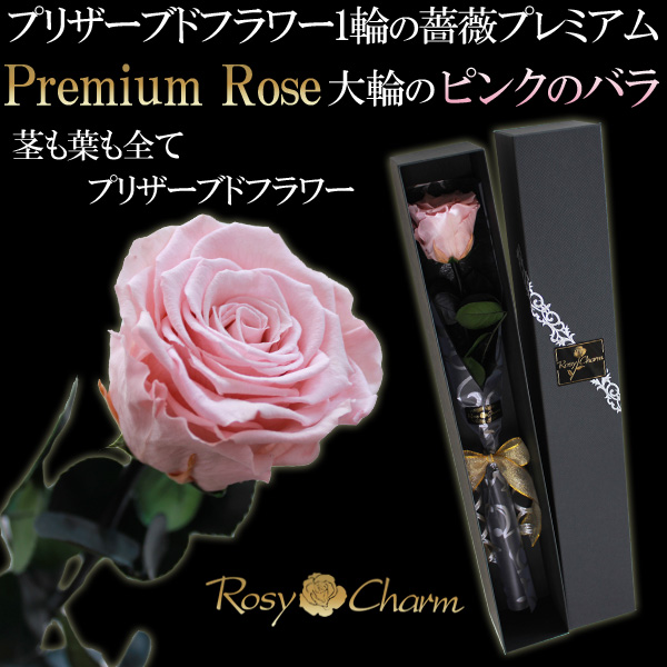 淡いピンクの薔薇 プレミアムローズ｜プリザーブドフラワー｜大輪の